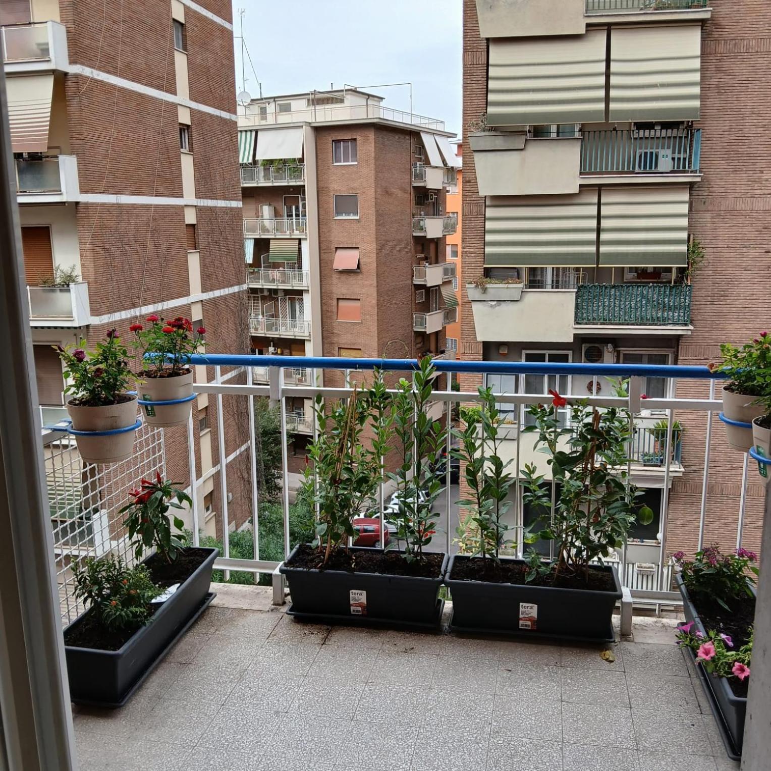 Apartmán Grand Nomentana Roma Exteriér fotografie